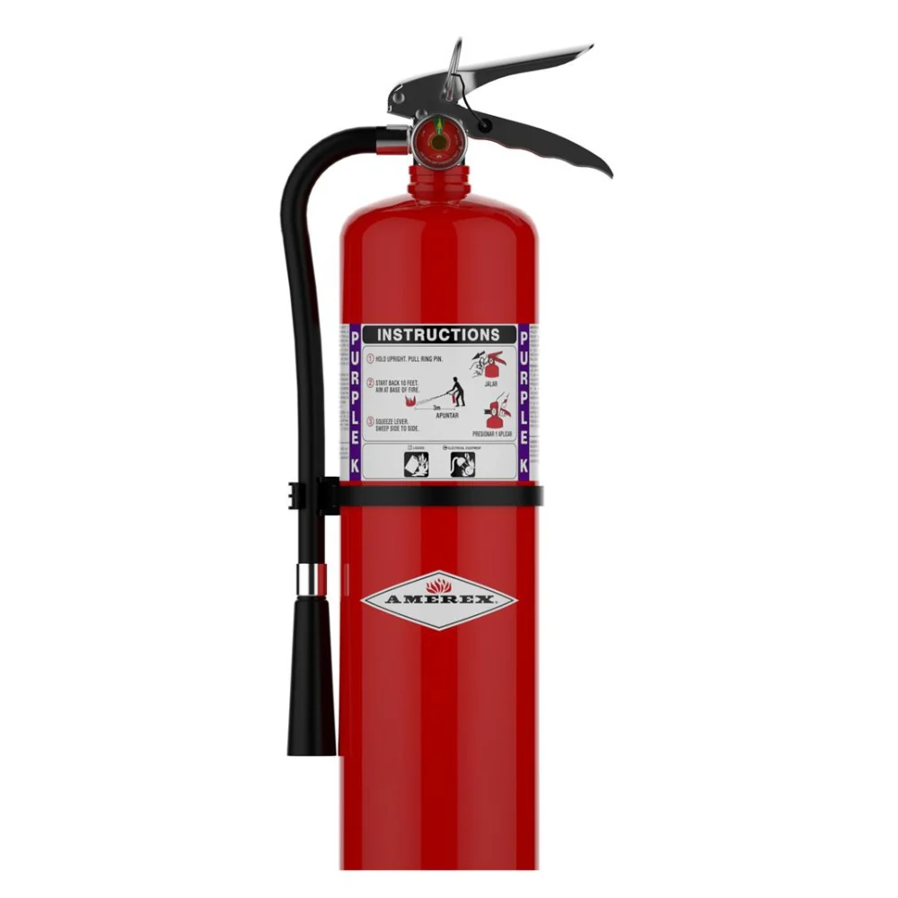 Amerex 10lb Purple-K Fire Extinguisher - Model B460 | AME-14965