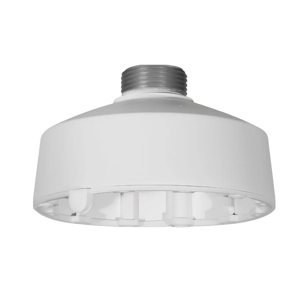Liberty Camera L3PC3 Pendant Cap for Select Cameras