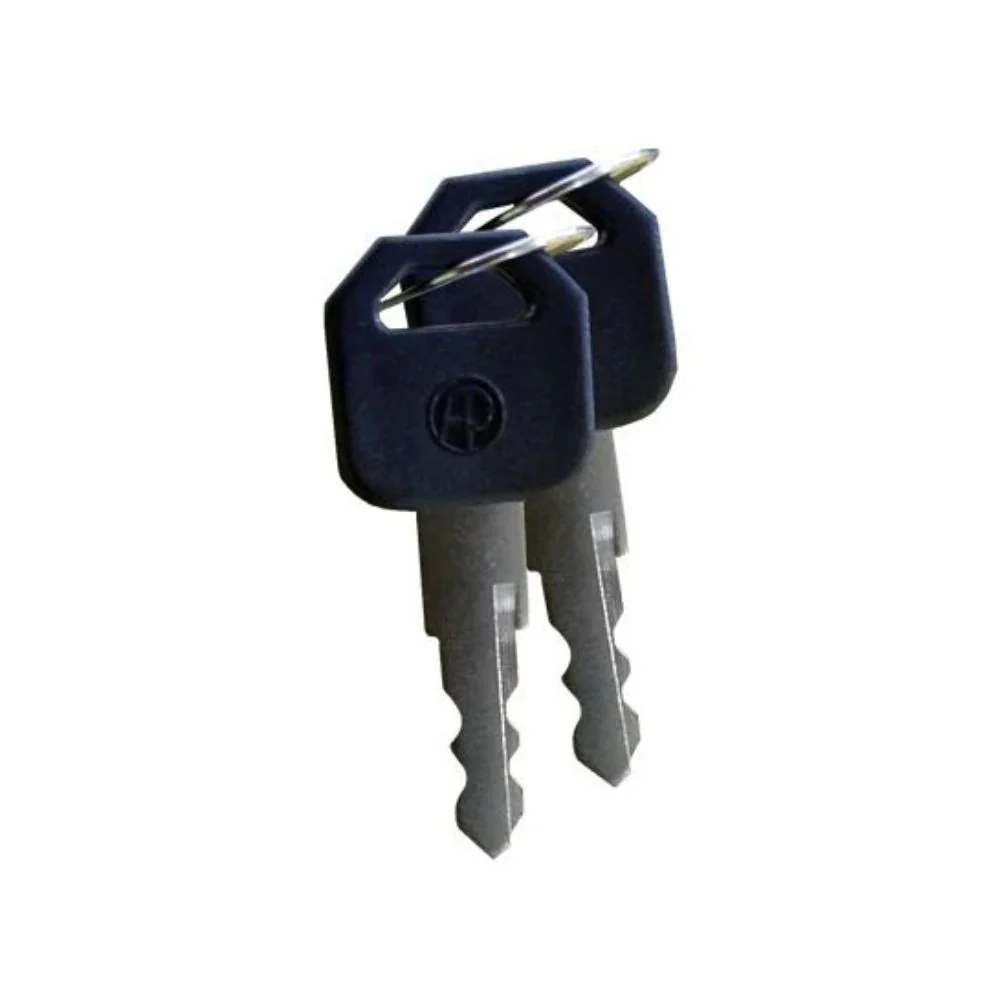 LiftMaster Keys for 02-406 (2015 to present, #301) | LIF-02-406-3
