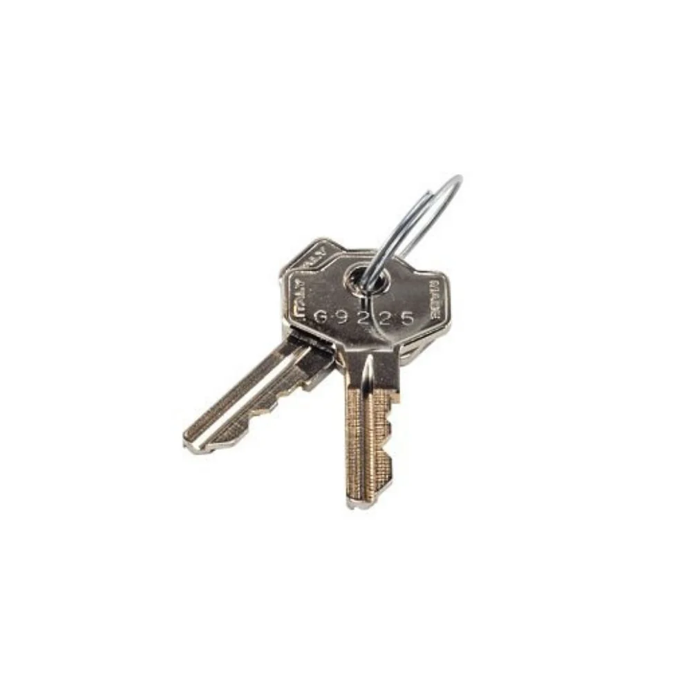 LiftMaster Release Key (Qty. 2) | LIF-041ASWG-0119