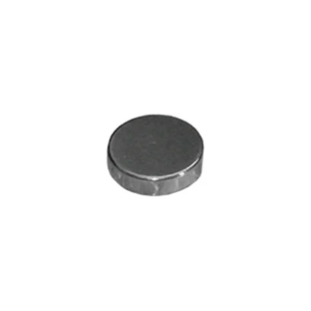 LiftMaster Magnet | LIF-MA011