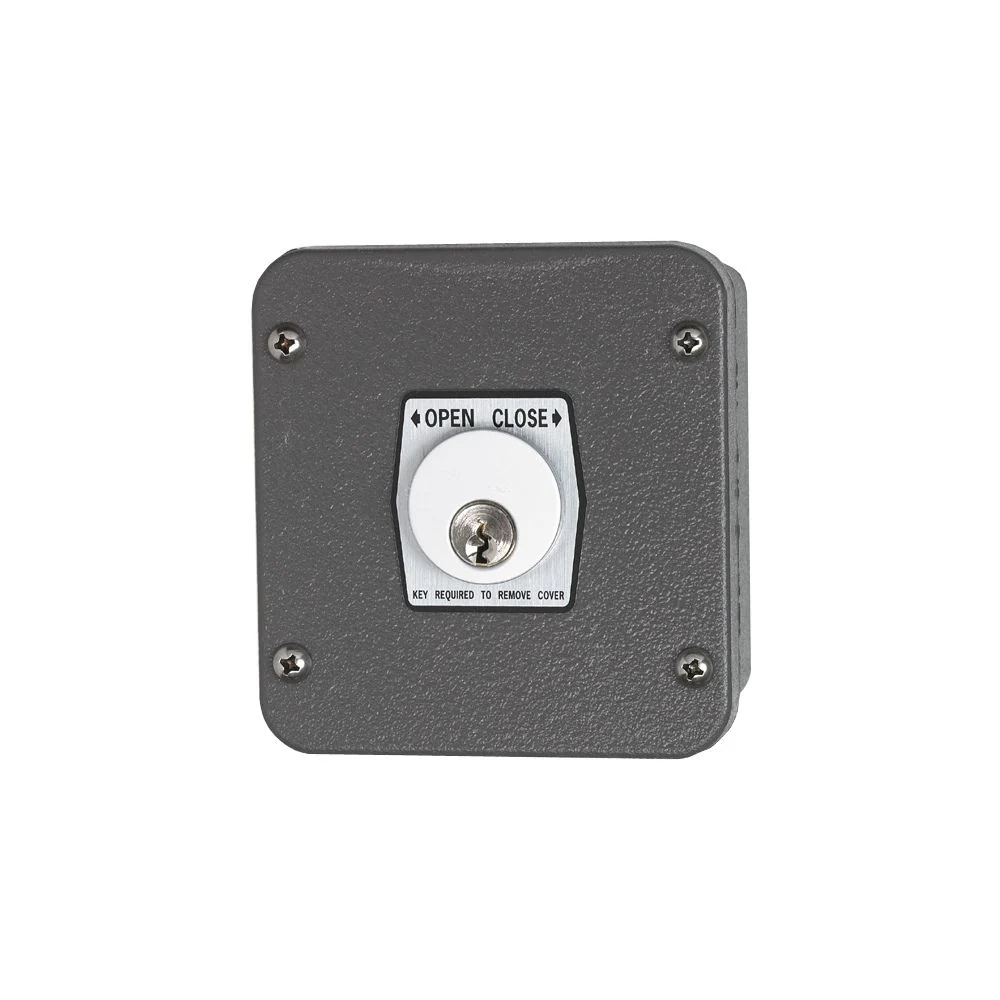 Linear Exterior Key Station | LIN-2500-289