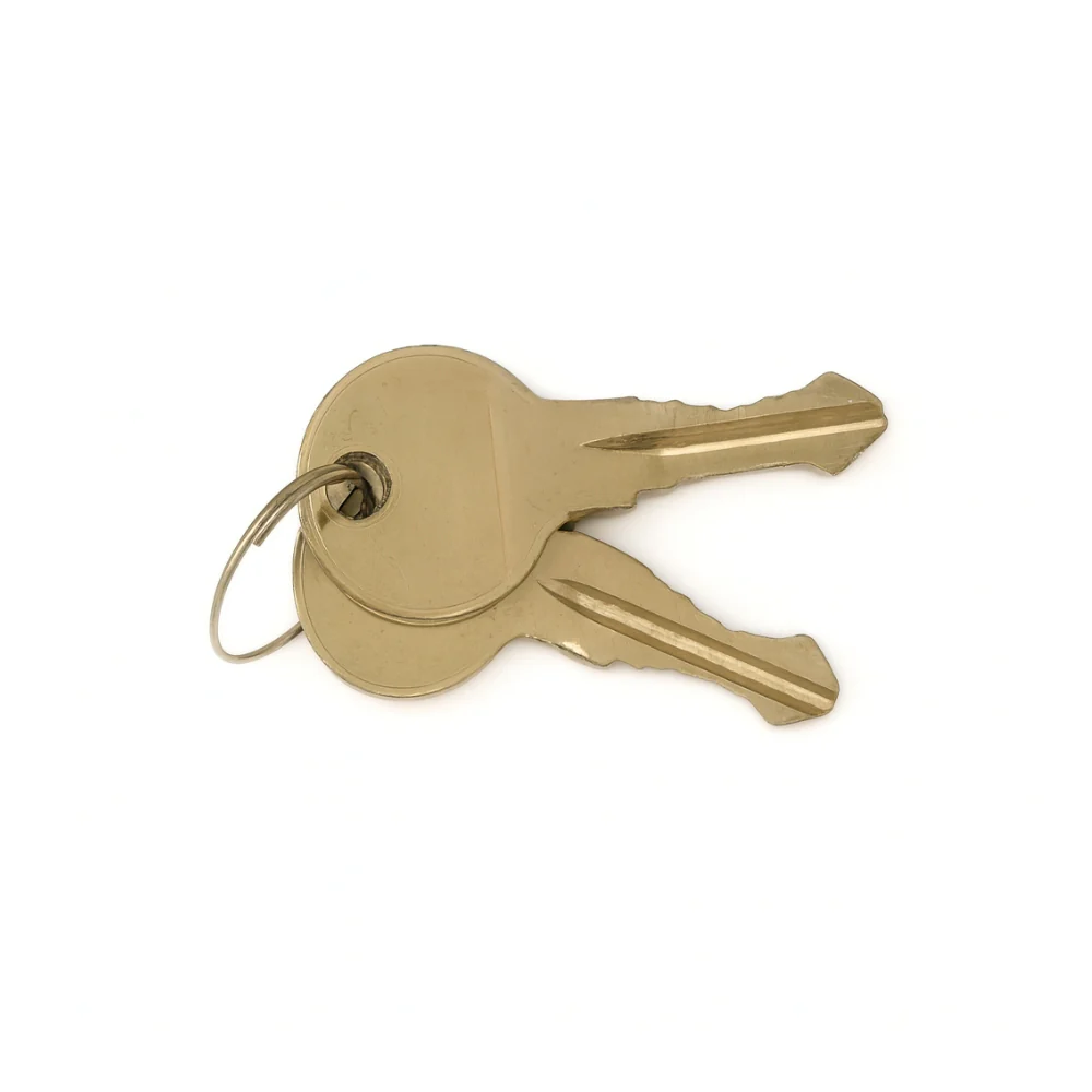 Magnetic Autocontrol #18 Key (Set of 2) | MAG-GTS02